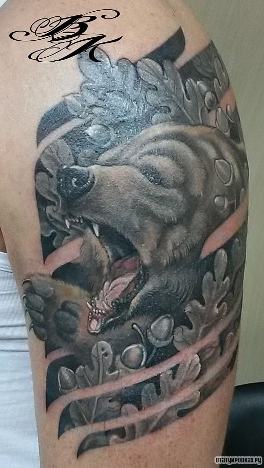 Фотография татуировки под названием «Оскал медведя с дубовыми листьями»