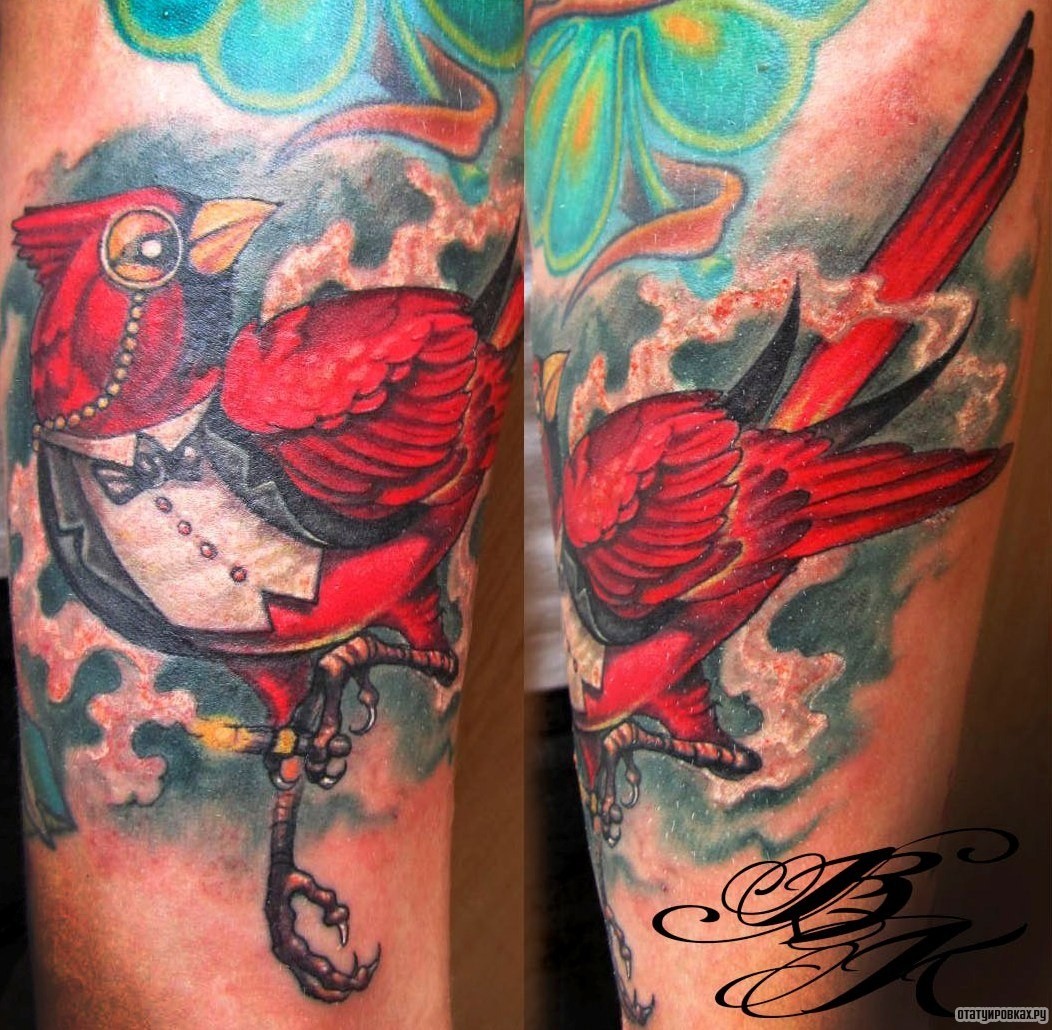 Фотография татуировки под названием «Красный попугай»