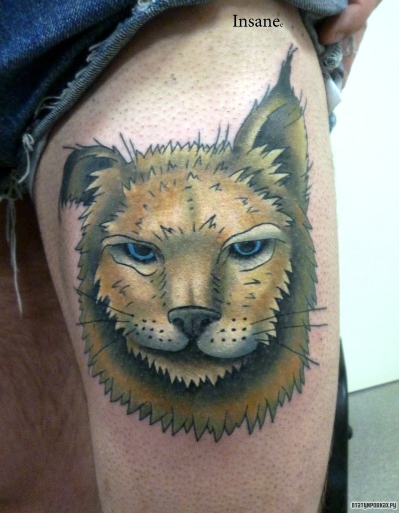 Фотография татуировки под названием «Потрепаная лиса»