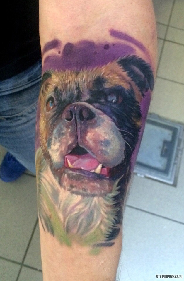 Фотография татуировки под названием «Морда собаки»
