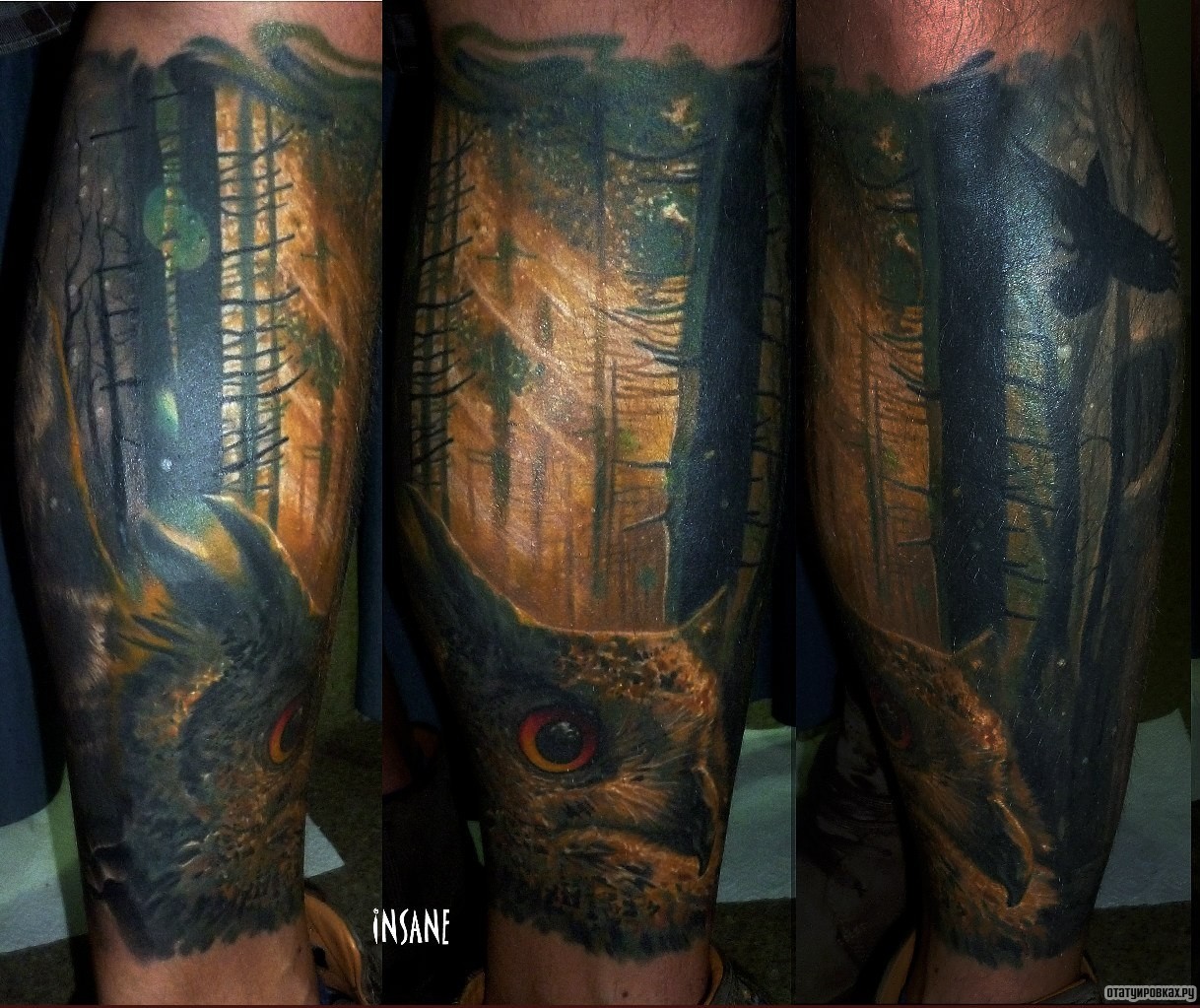 Фотография татуировки под названием «Сова в лесу»