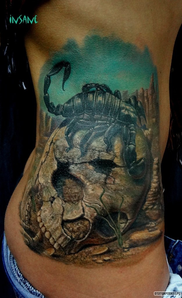 Фотография татуировки под названием «Скорпион на черепе»