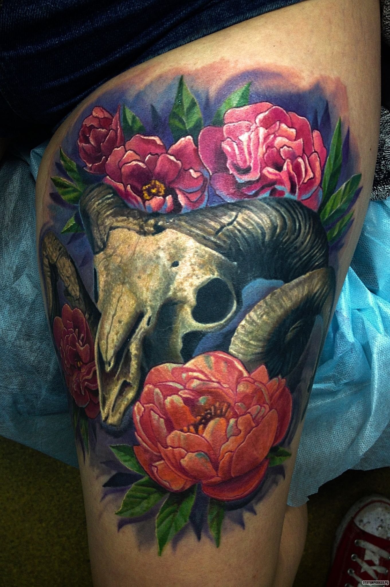 Фотография татуировки под названием «Череп животного с пионами»