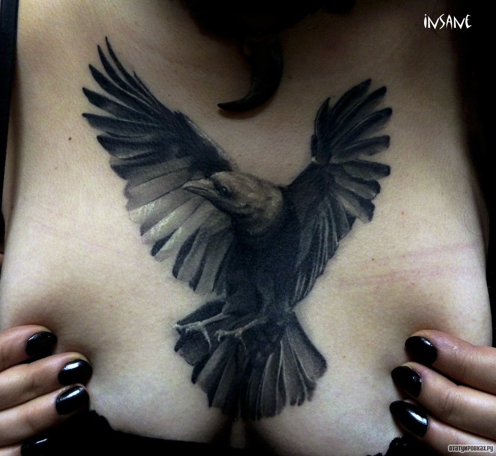 Фотография татуировки под названием «Ворон распахнув крылья»