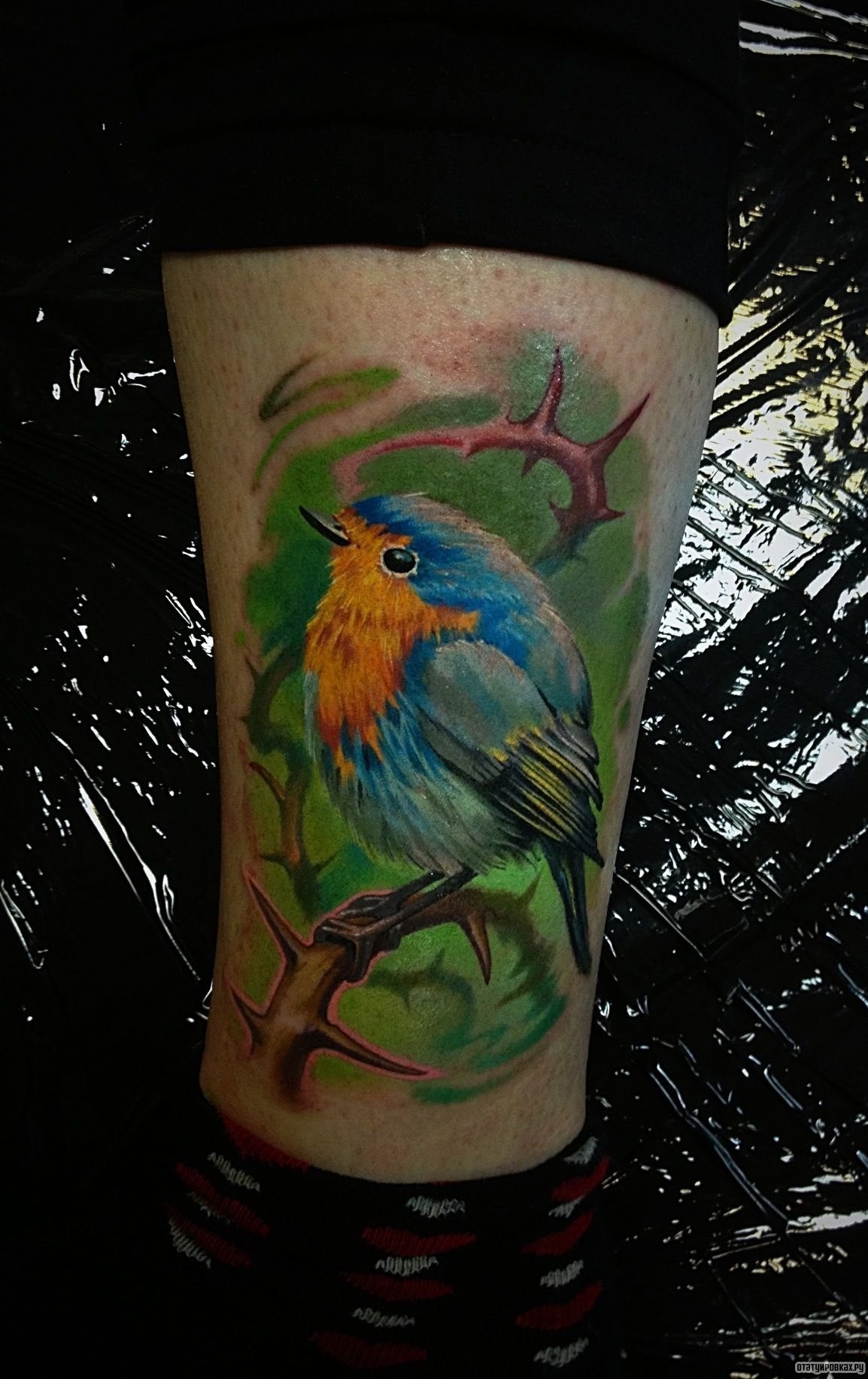 Фотография татуировки под названием «Разноцветная птичка на колючей ветке»