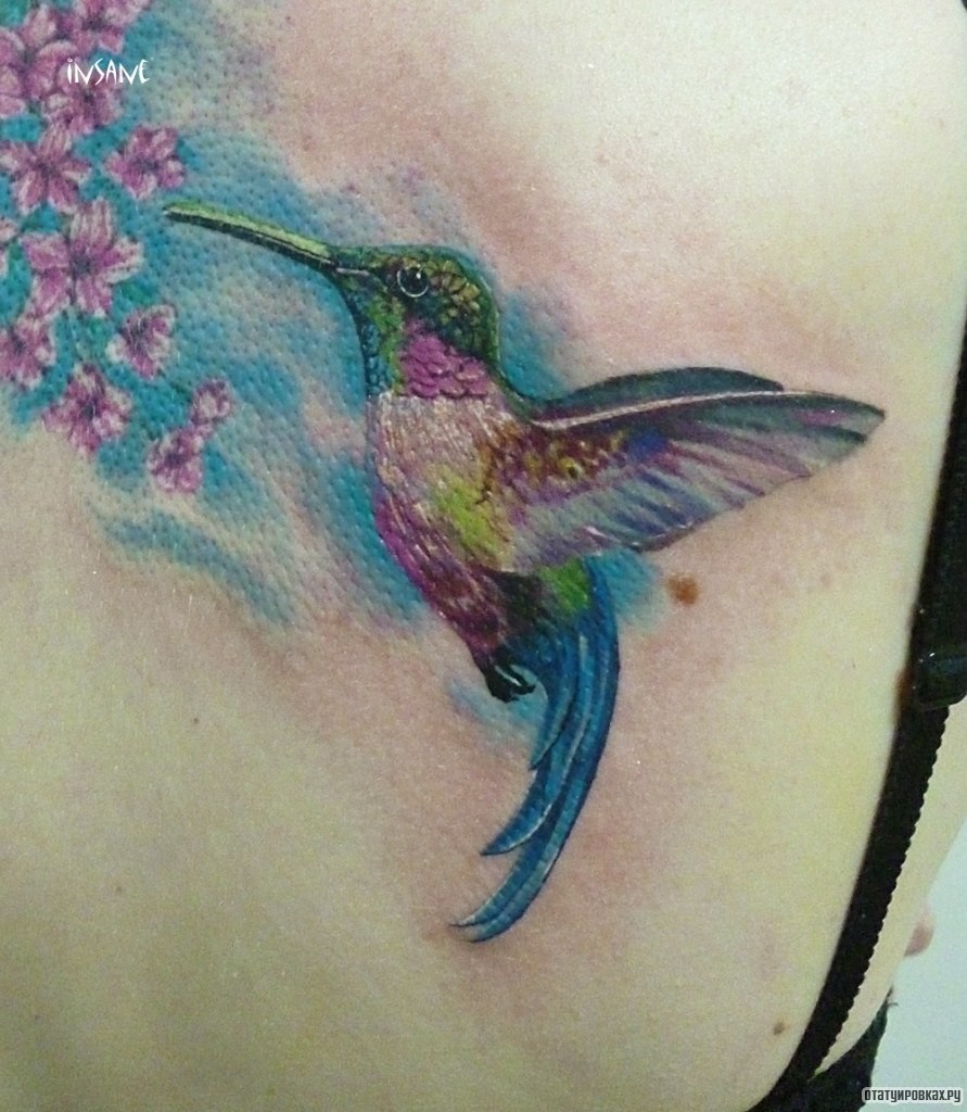 Фотография татуировки под названием «Колибри птичка»
