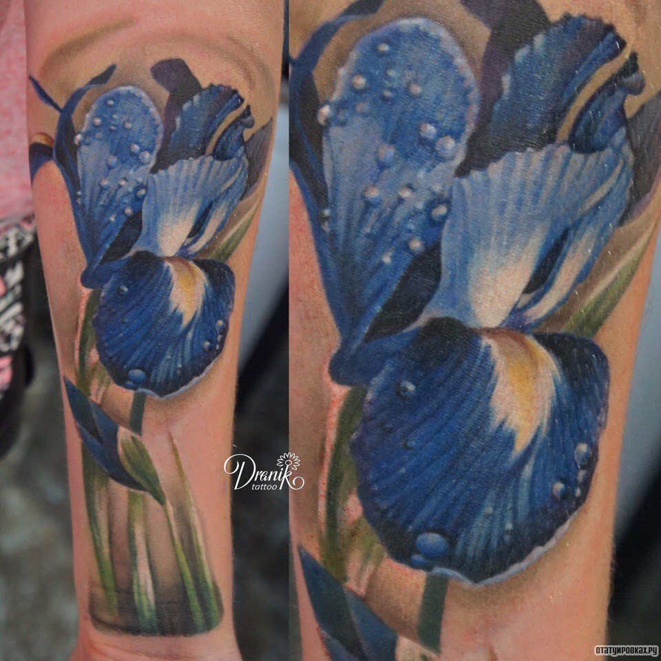 Фотография татуировки под названием «Синий цветок с росой»