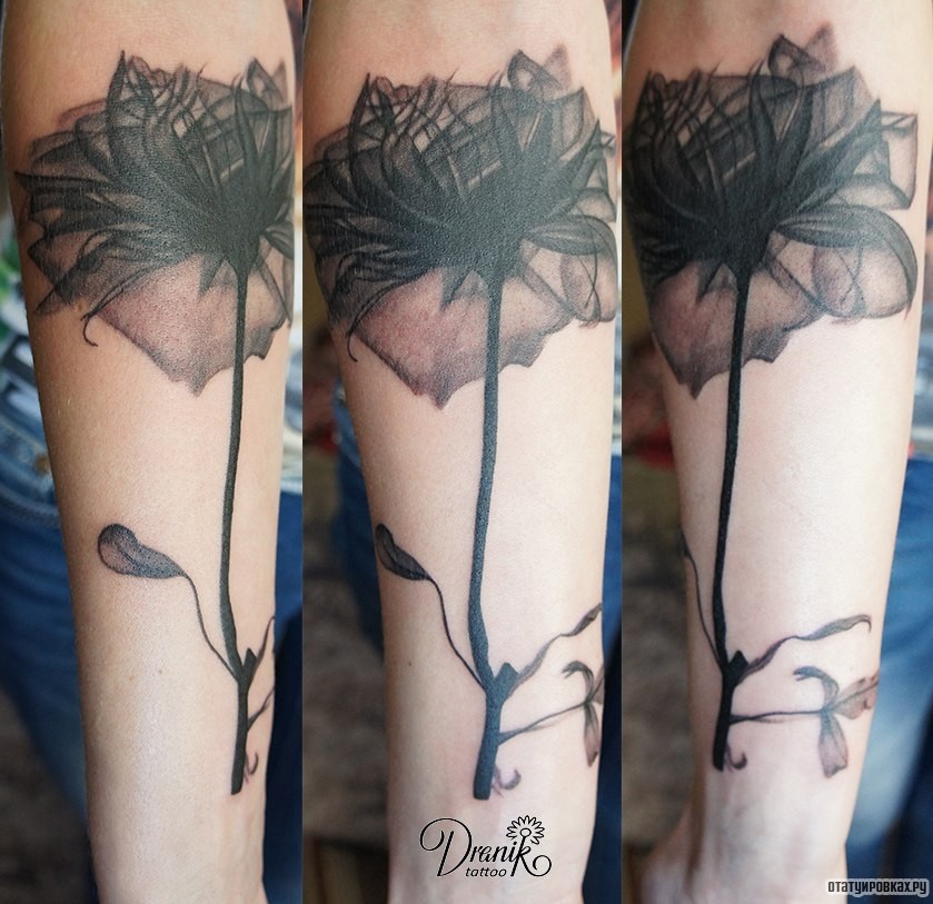 Фотография татуировки под названием «Чб цветок абстракции»