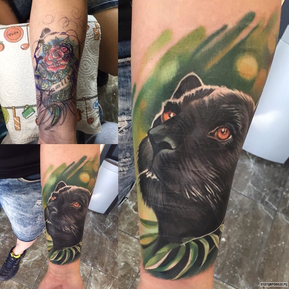 Фотография татуировки под названием «Пантера с листьями»