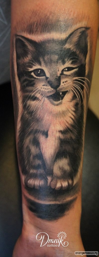 Фотография татуировки под названием «Котенок»