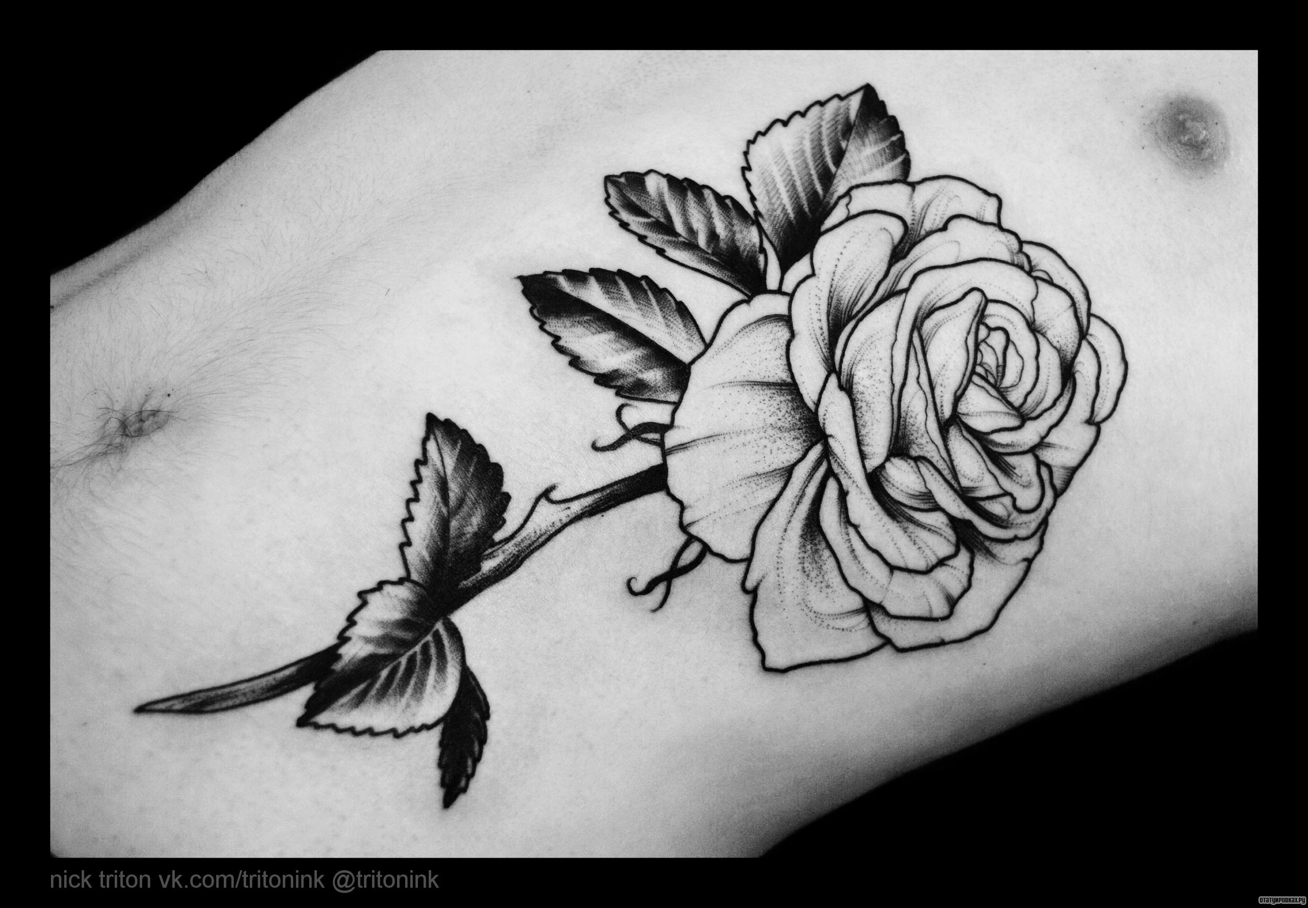 Фотография татуировки под названием «Роза»