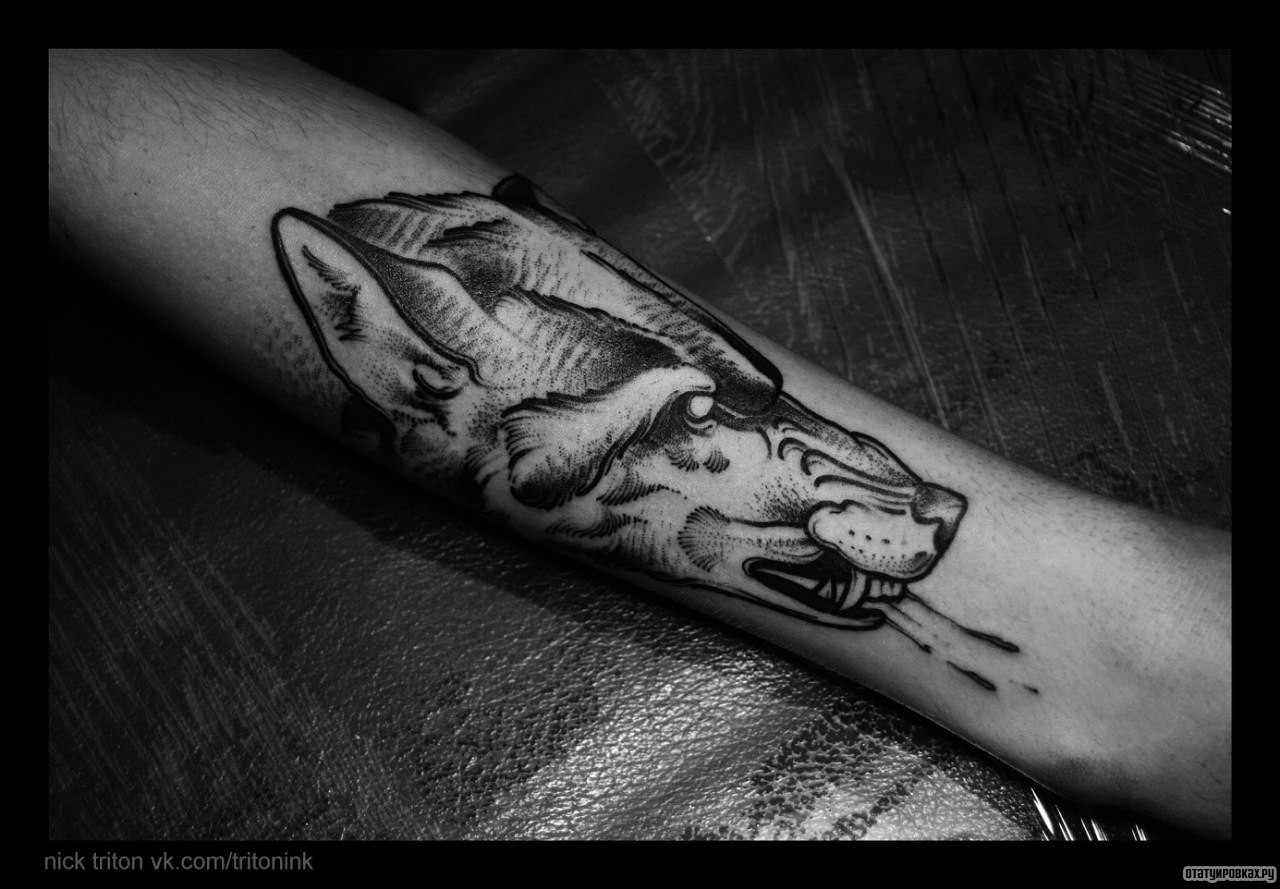 Фотография татуировки под названием «Морда волка»