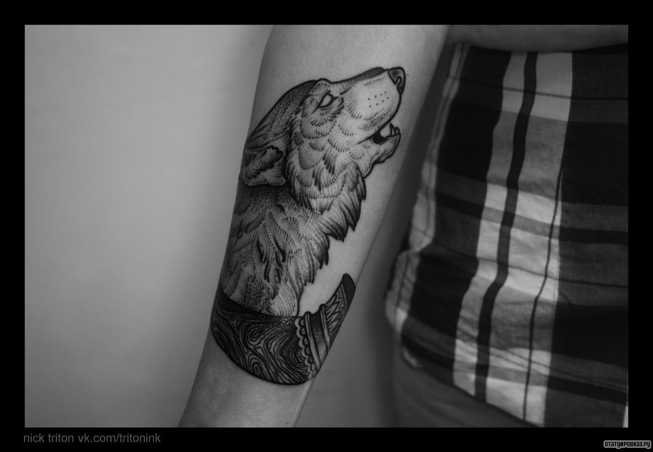 Фотография татуировки под названием «Вой волка»