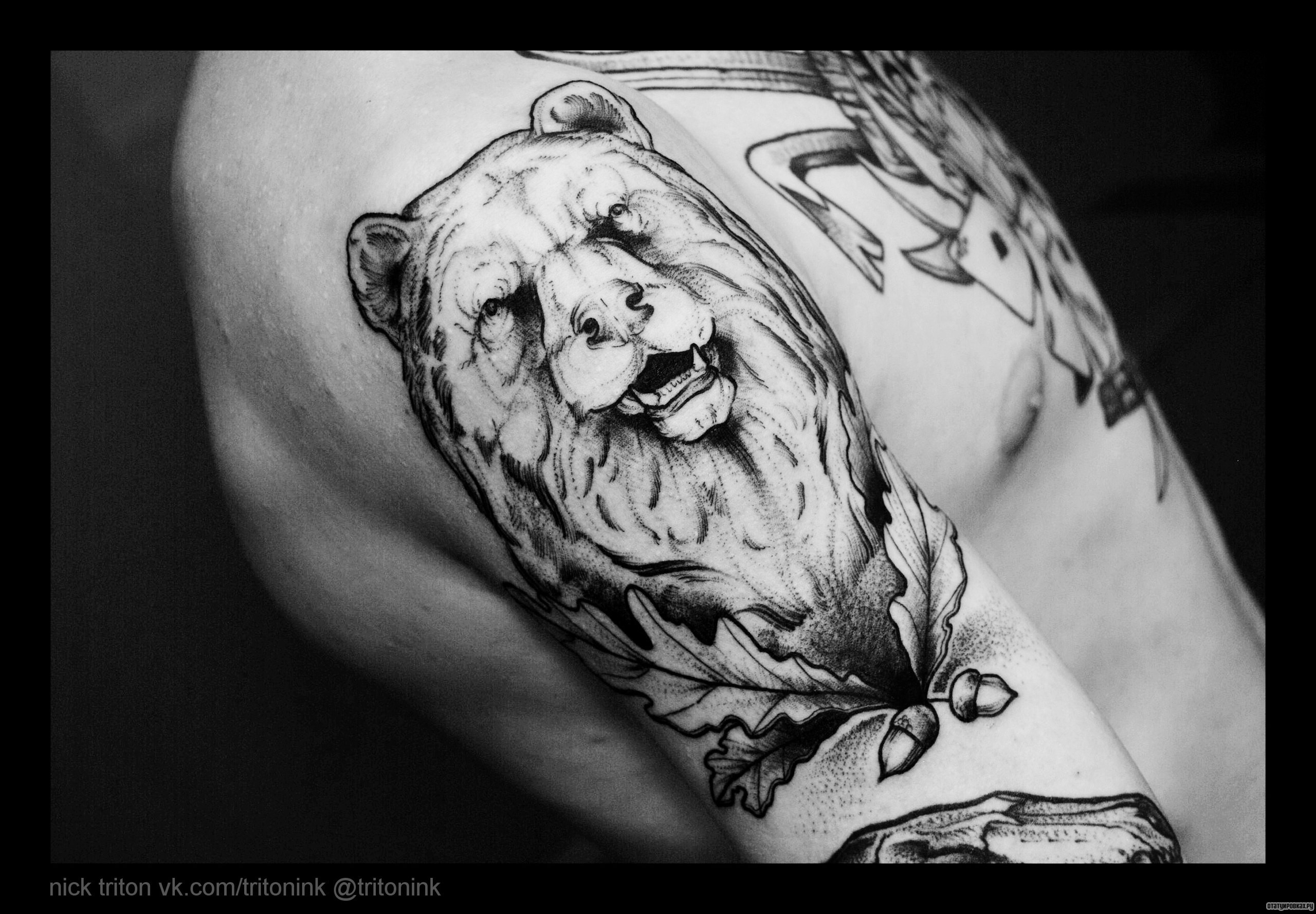 Фотография татуировки под названием «Медведь и листья дуба»