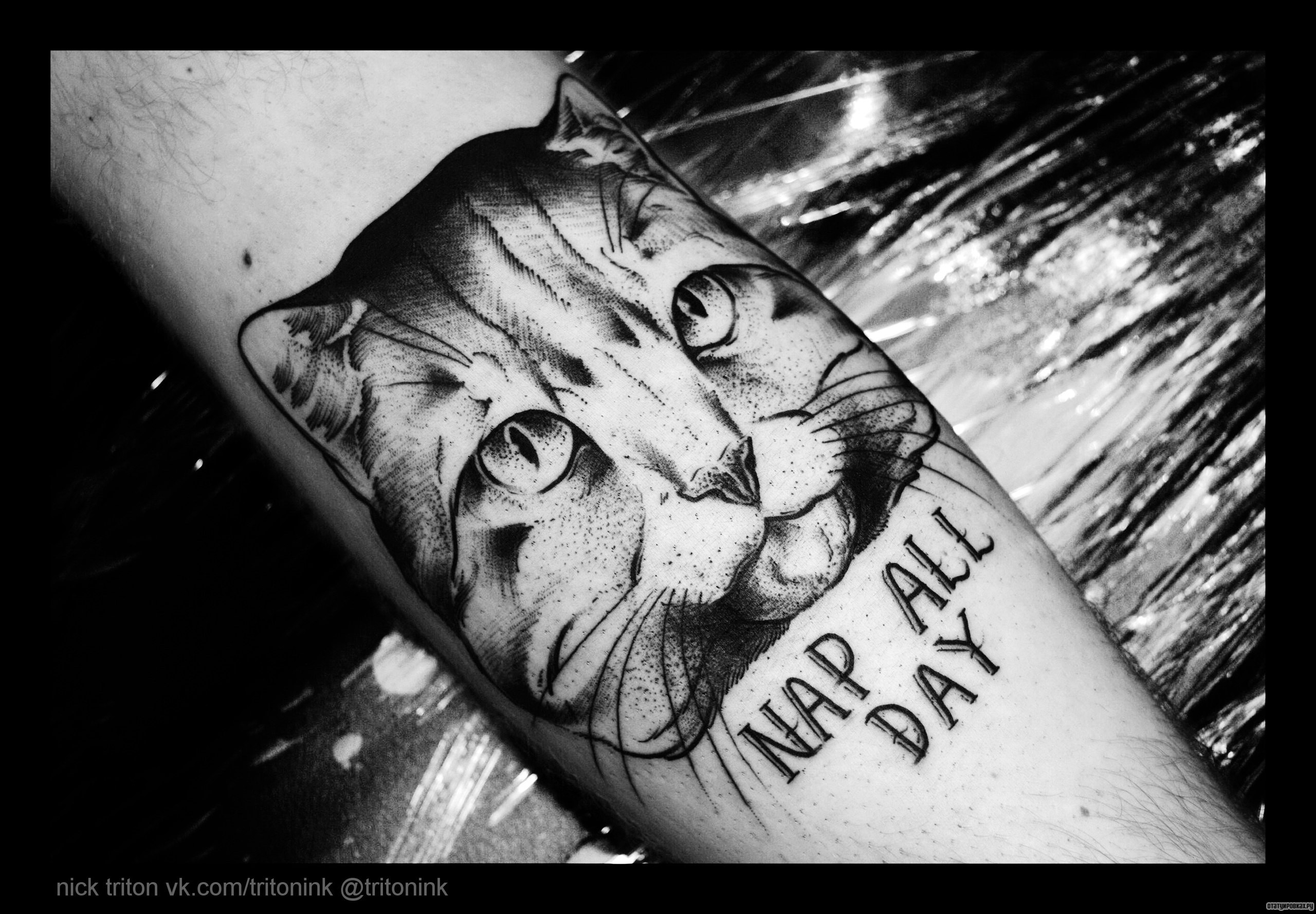 Фотография татуировки под названием «Голова кота и надпись»