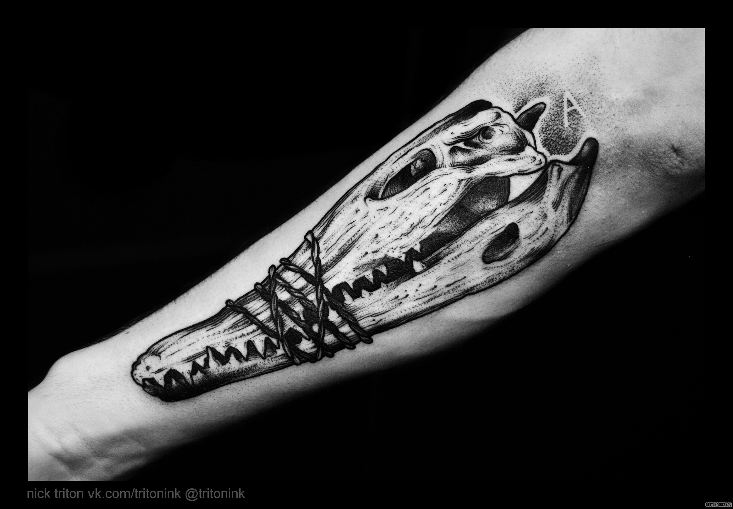 Фотография татуировки под названием «Череп крокодила»