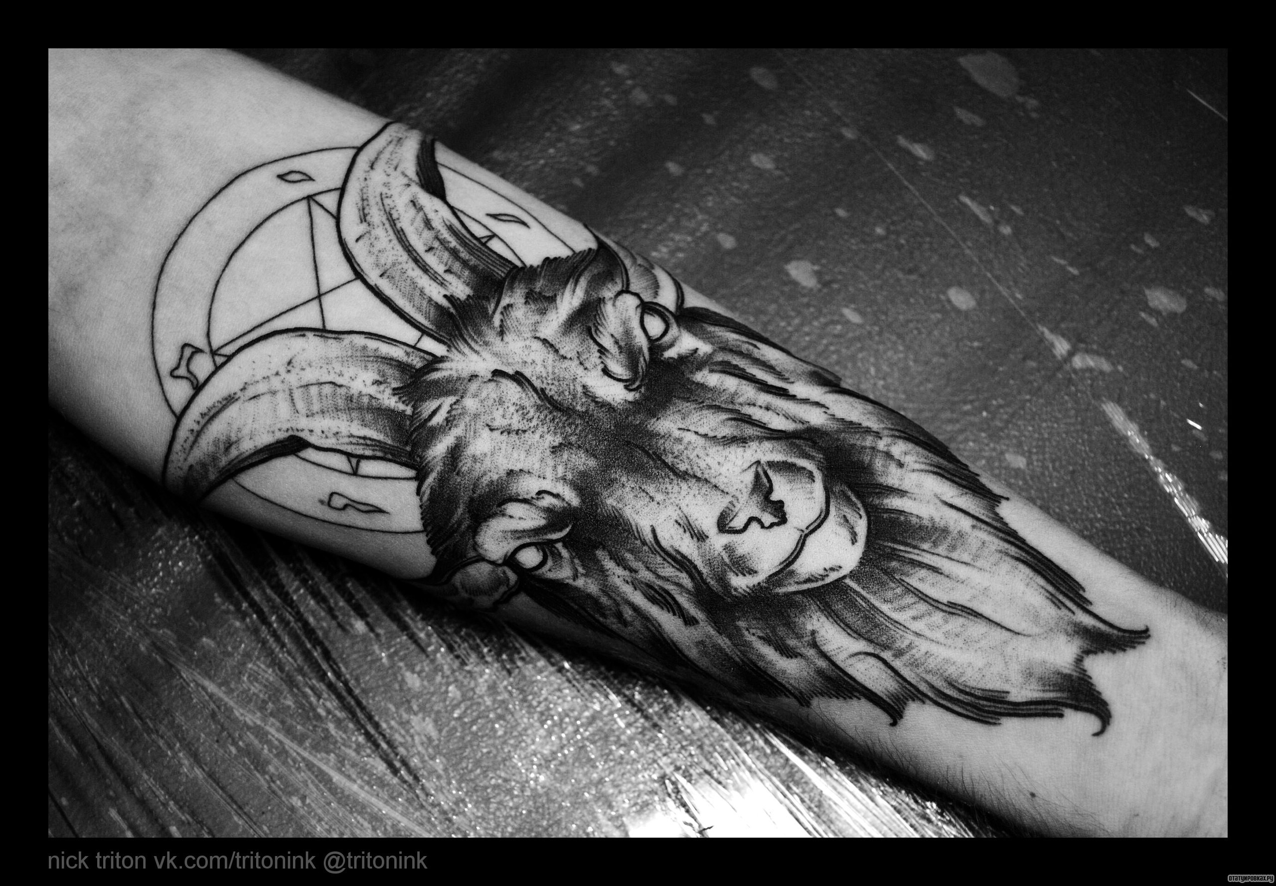 Фотография татуировки под названием «Баран»