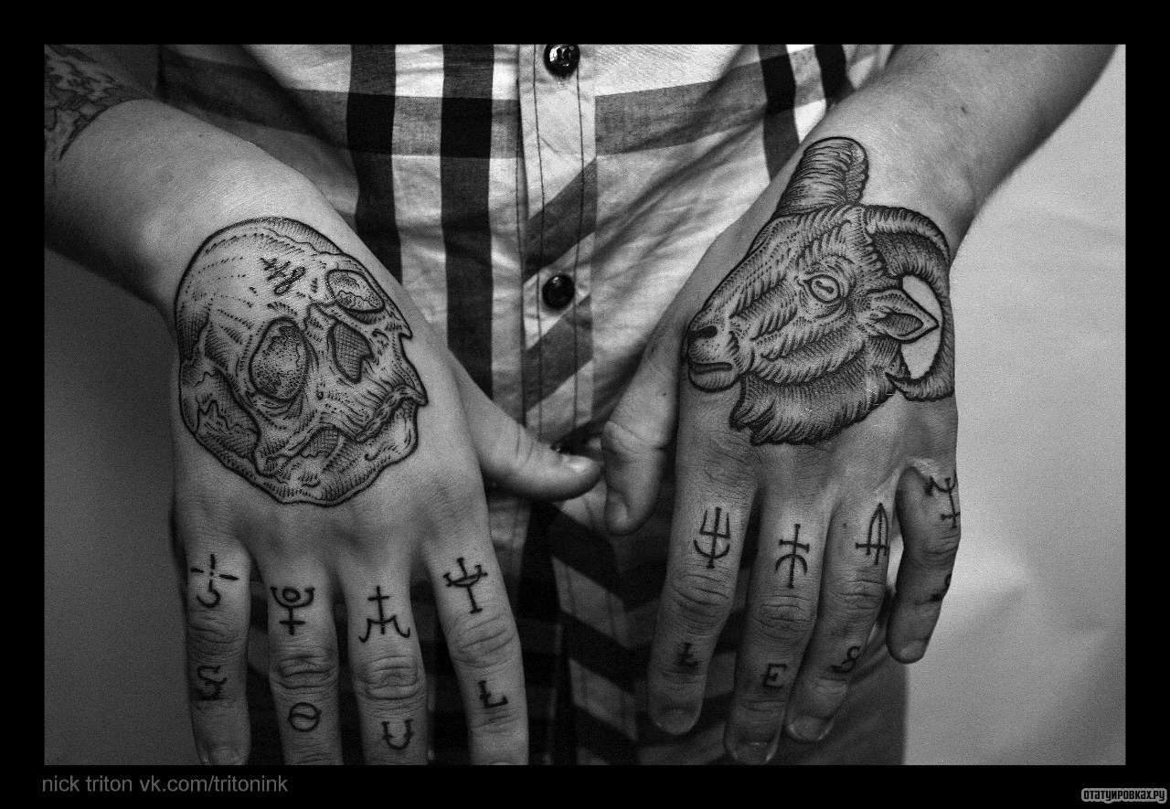 Фотография татуировки под названием «Баран и череп»