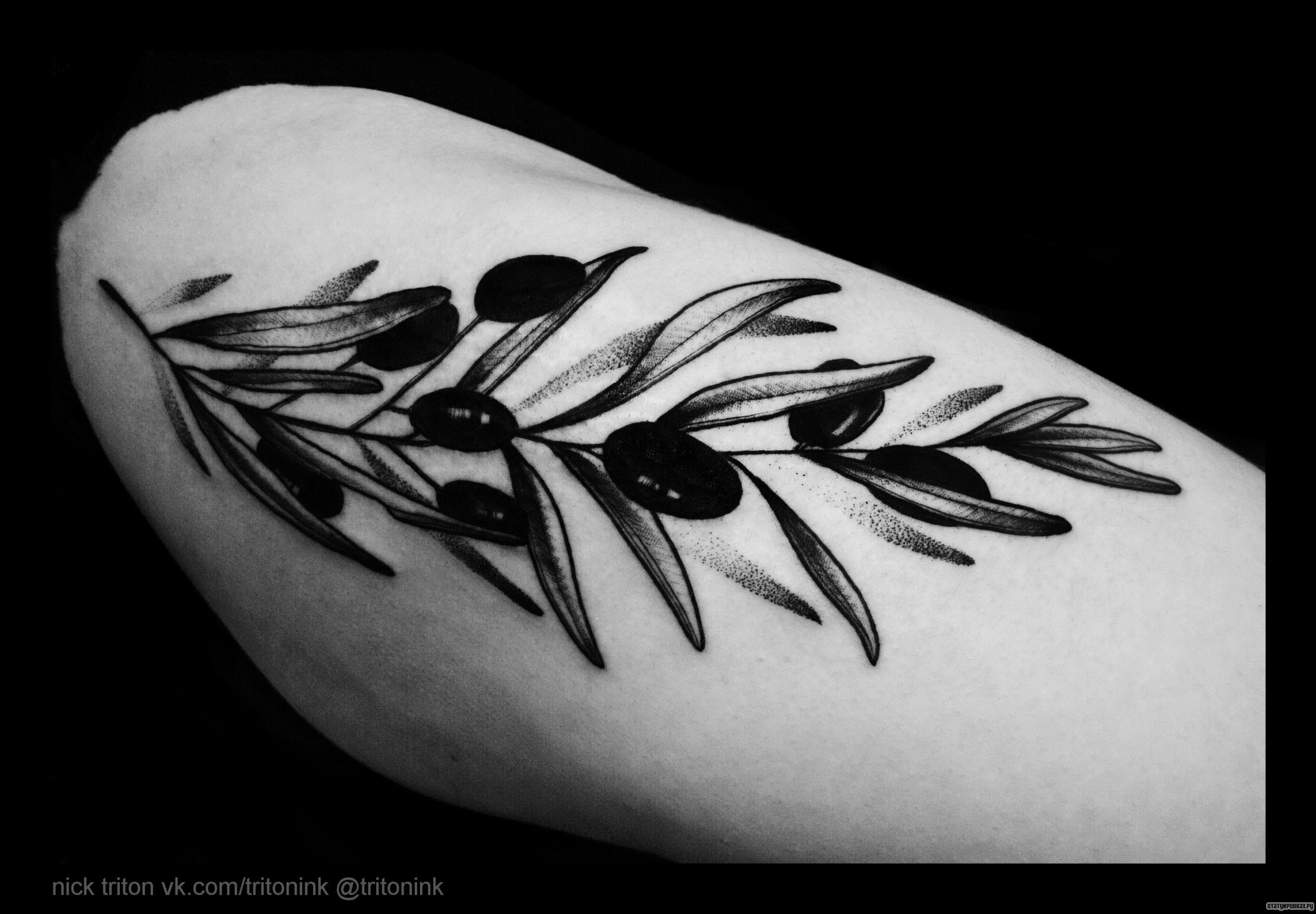 Фотография татуировки под названием «Ветка оливкового дерева»