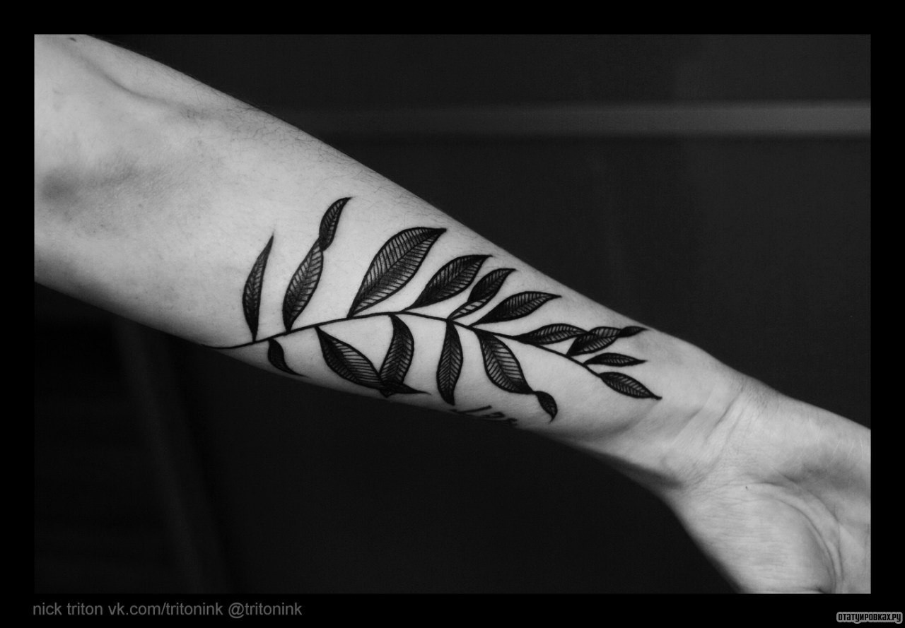 Фотография татуировки под названием «Ветка дерева»