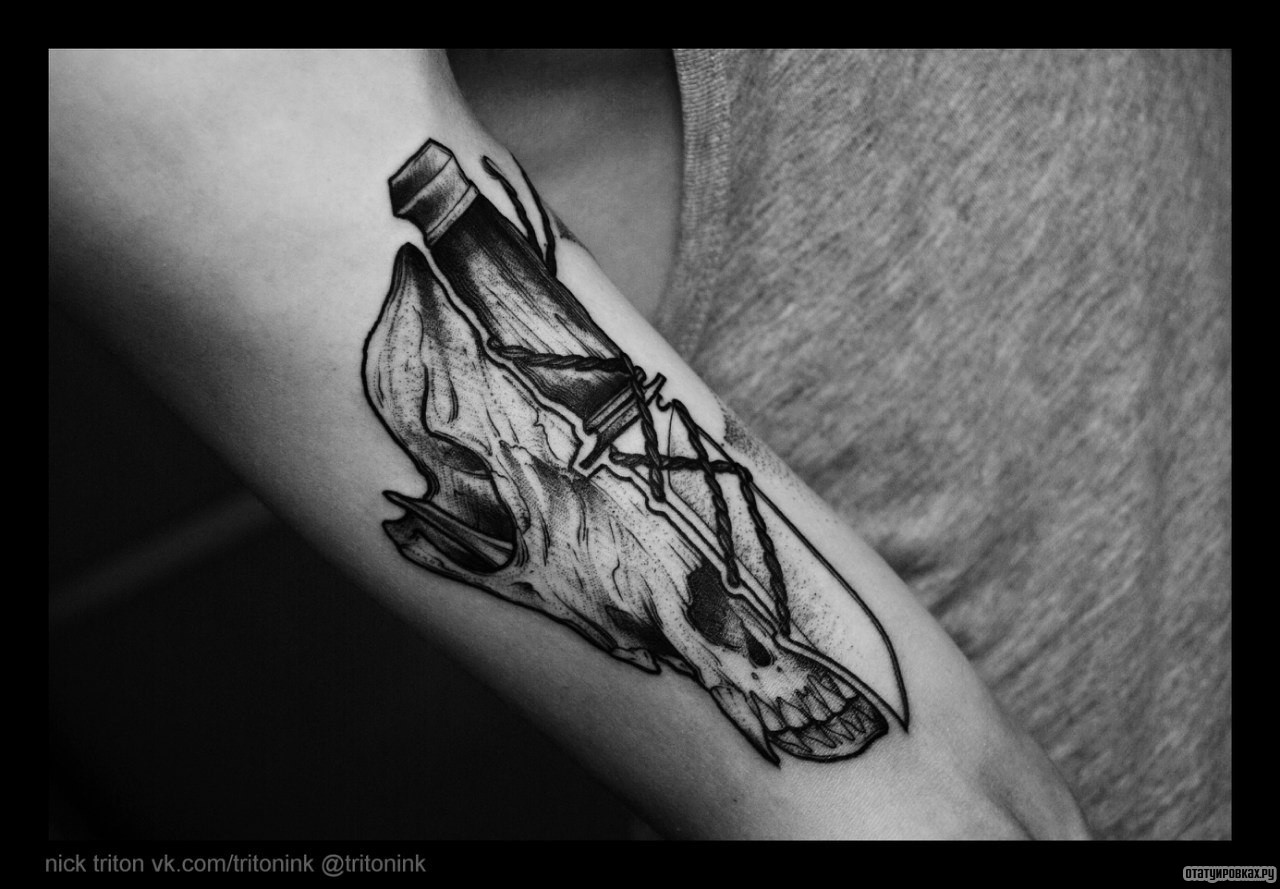 Фотография татуировки под названием «Череп животного и завязанный нож»