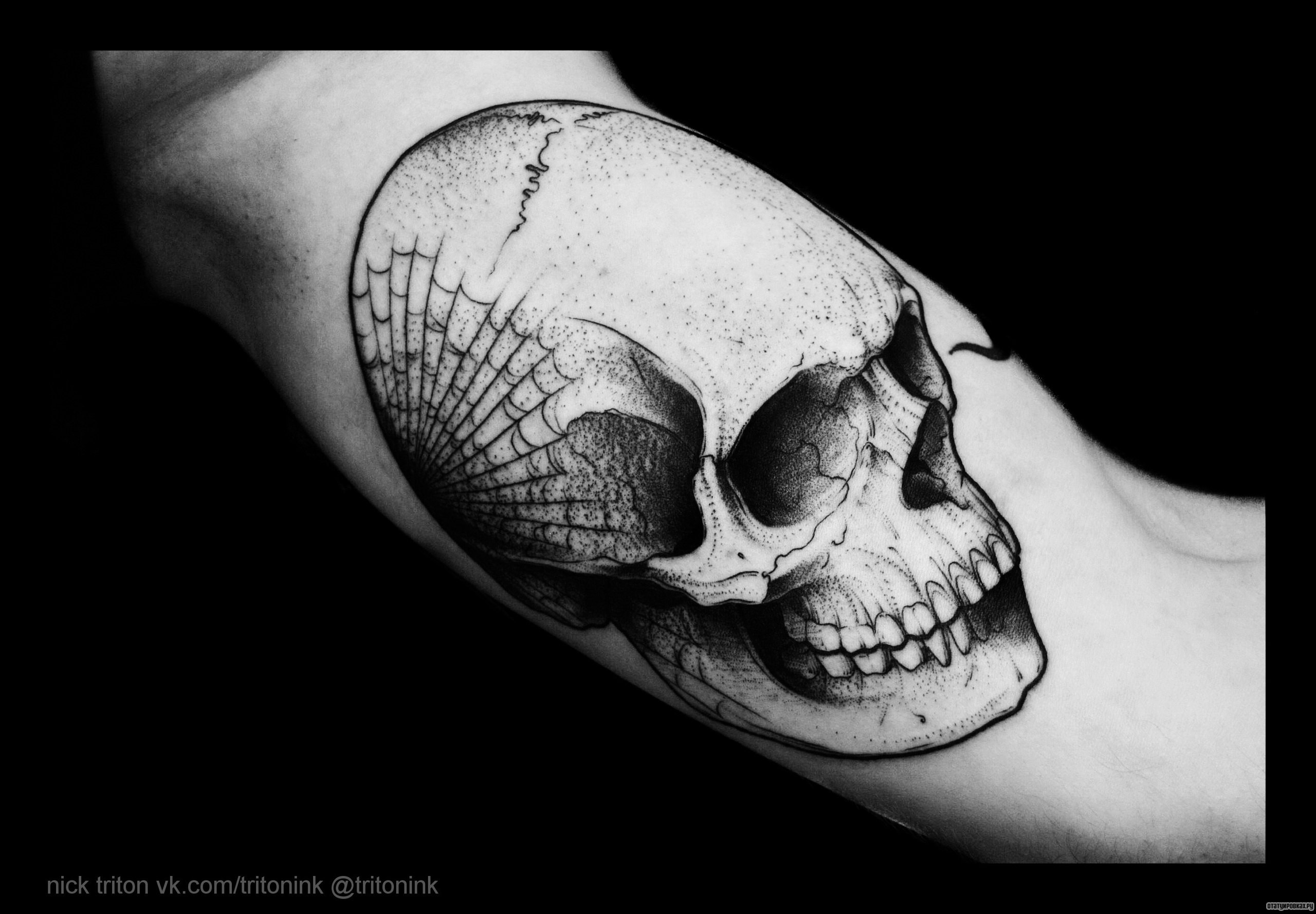 Фотография татуировки под названием «Череп с паутиной»