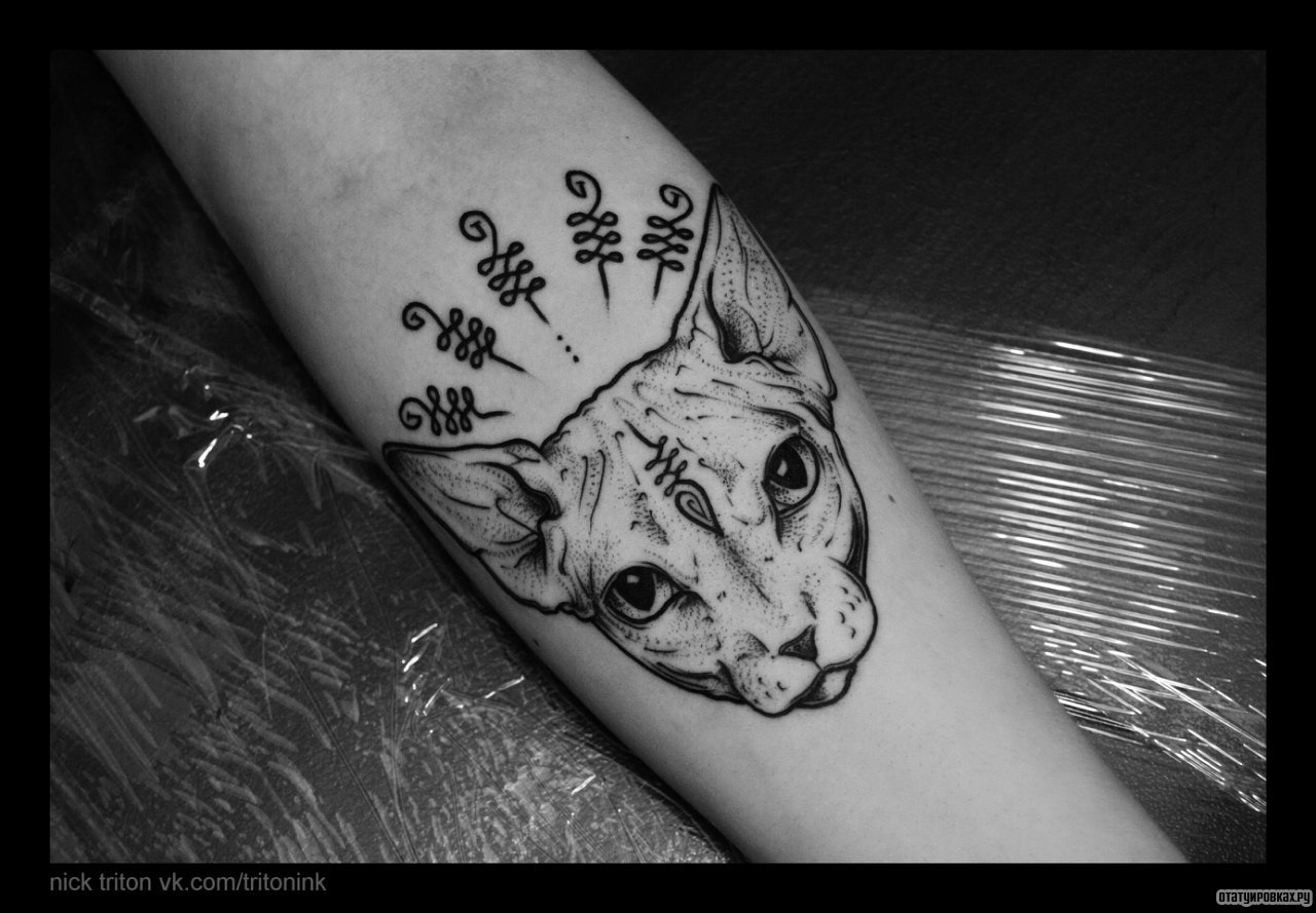 Фотография татуировки под названием «Кот сфинкс с украшениями»