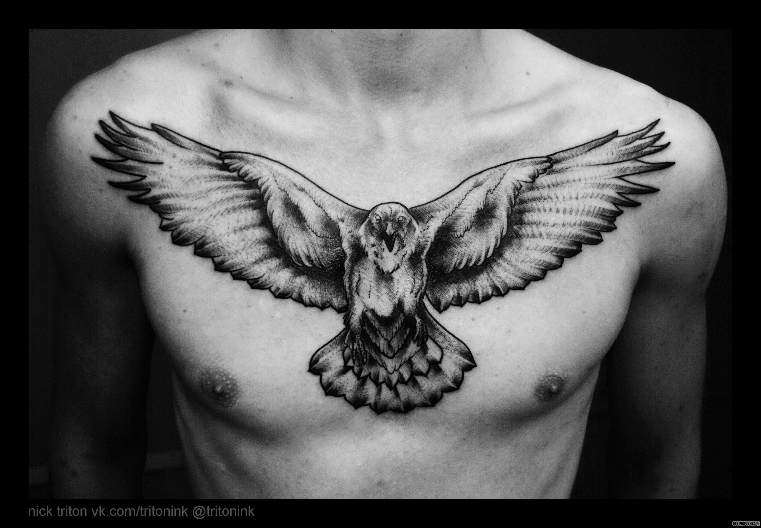 Фотография татуировки под названием «Ворон в полете»