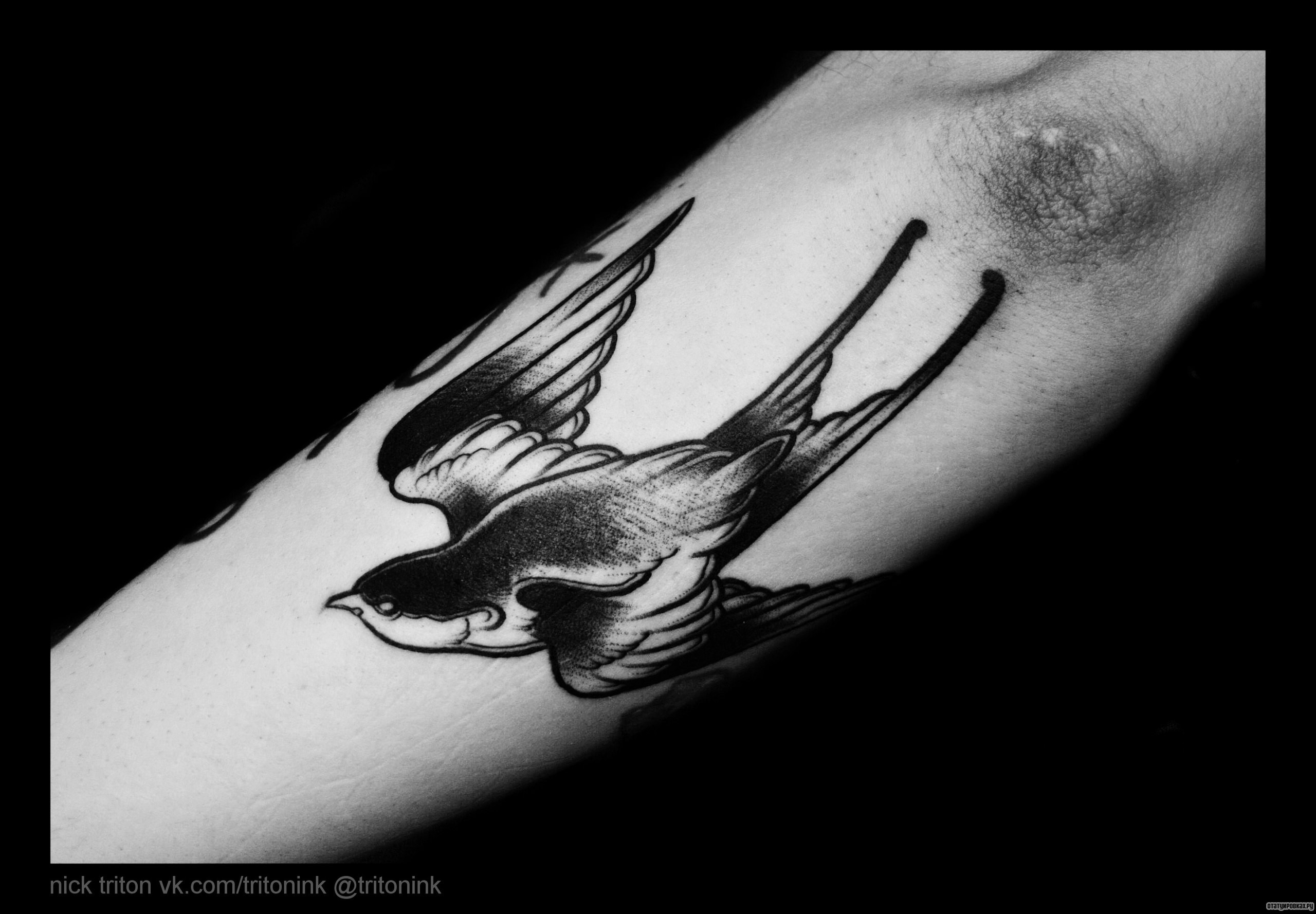 Фотография татуировки под названием «Ласточка»