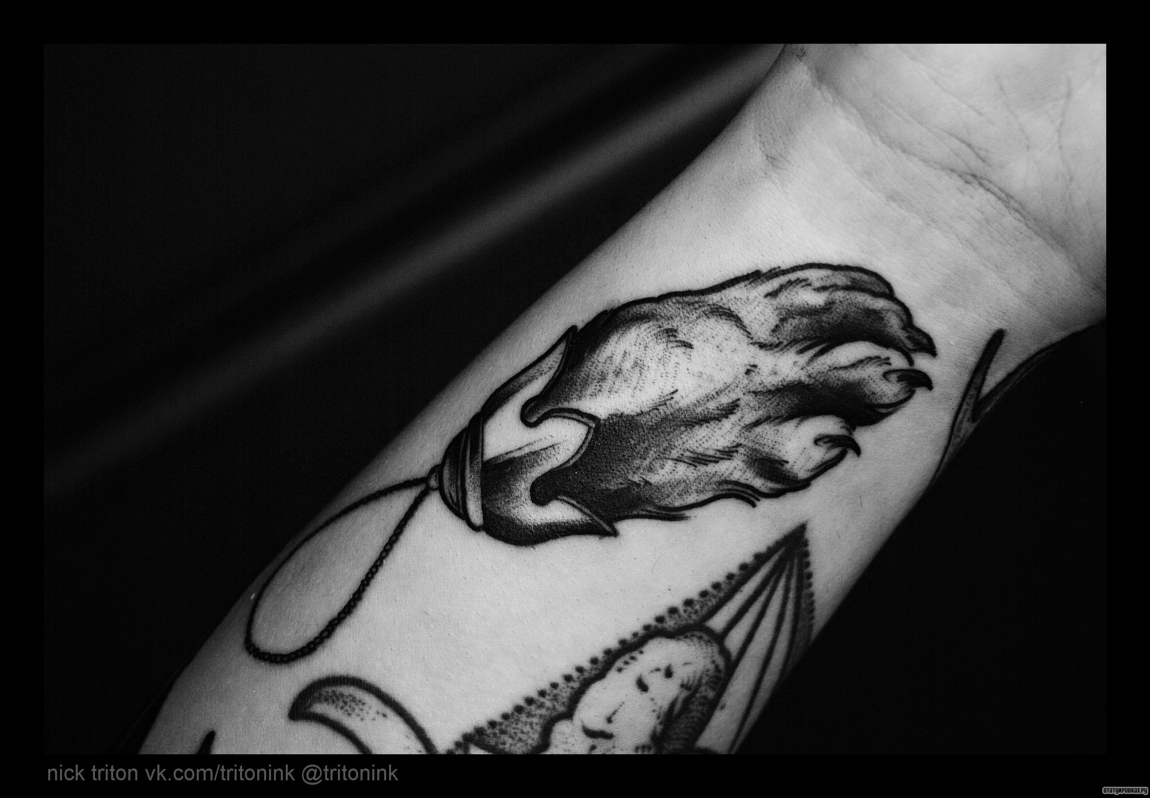 Фотография татуировки под названием «Лапа животного»
