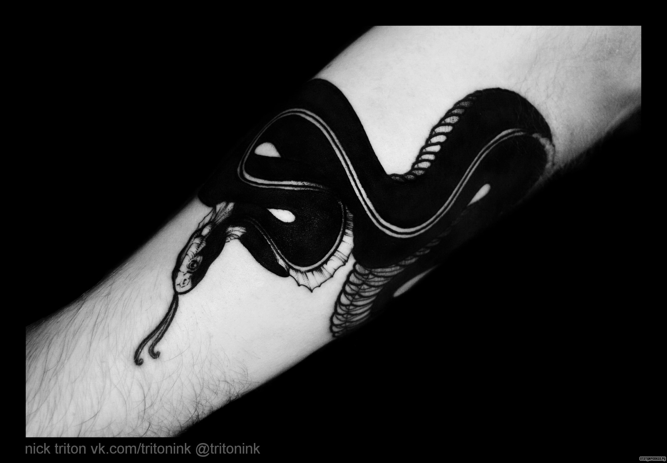 Фотография татуировки под названием «Черная змея»