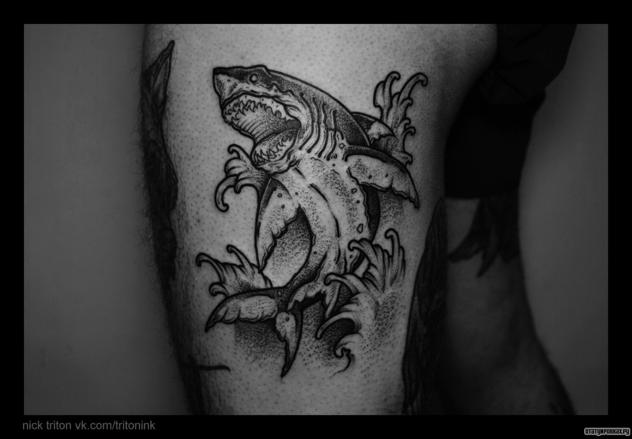 Фотография татуировки под названием «Акула в волнах»