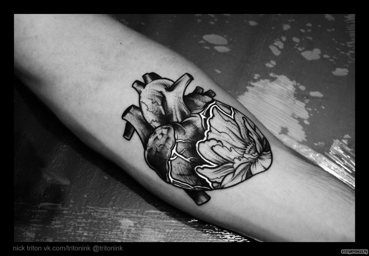 Фотография татуировки под названием «Человеческое сердце»