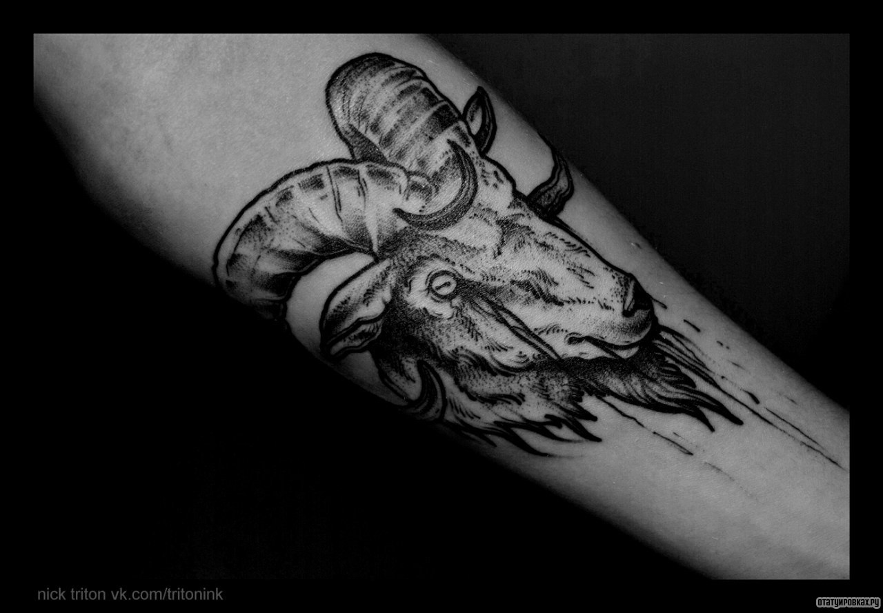 Фотография татуировки под названием «Козел»
