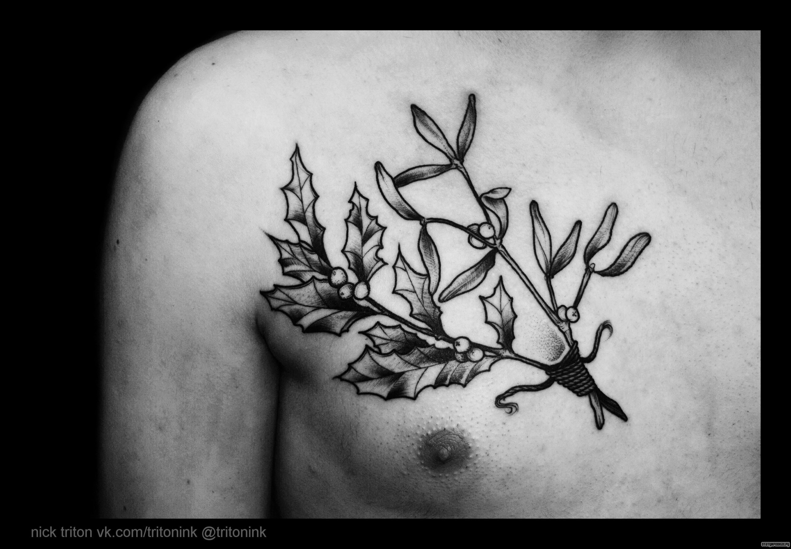 Фотография татуировки под названием «Ветка с листьями»