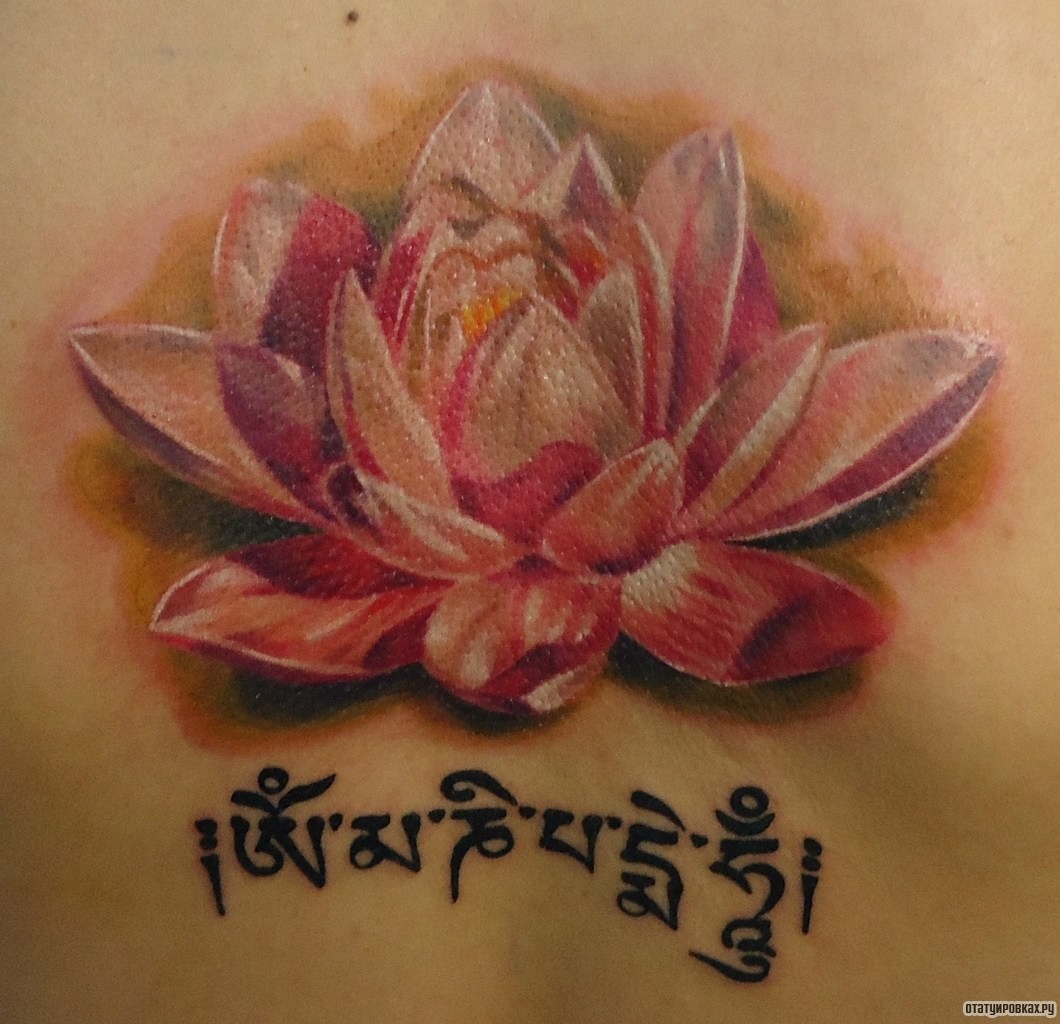 Фотография татуировки под названием «Цветок лотоса и надпись»