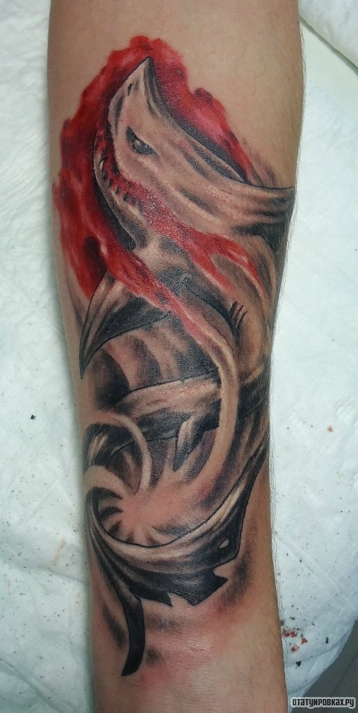 Фотография татуировки под названием «Акула и узор»