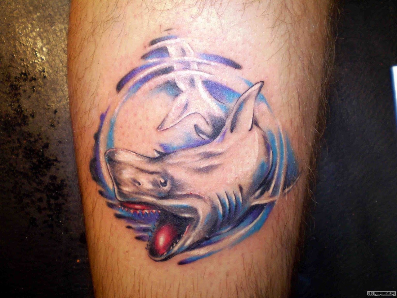 Фотография татуировки под названием «Акула в кругу»