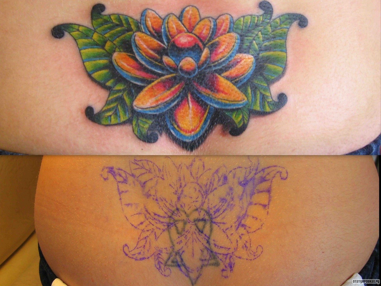 Фотография татуировки под названием «Каверап цветок лотоса»