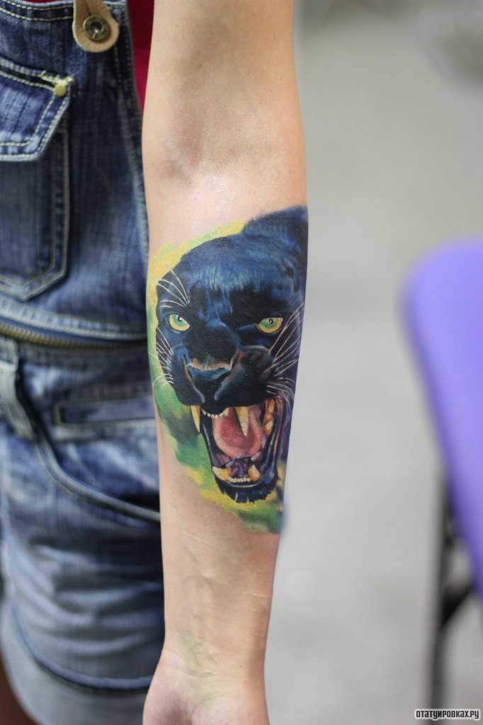 Фотография татуировки под названием «Оскал пантеры»