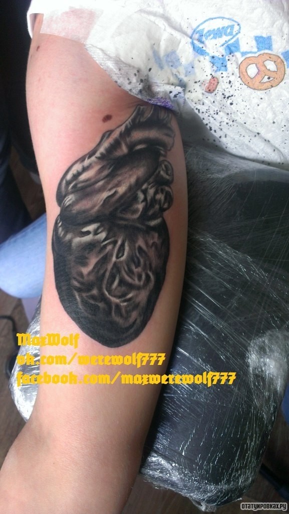 Фотография татуировки под названием «Сердце человеческое»