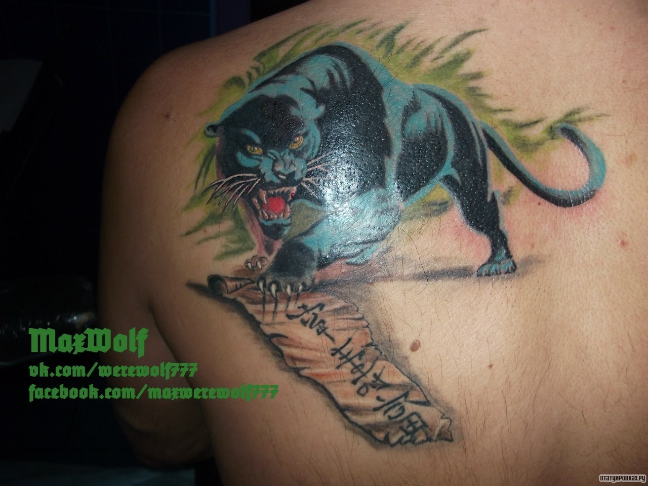 Фотография татуировки под названием «Пантера и надпись»