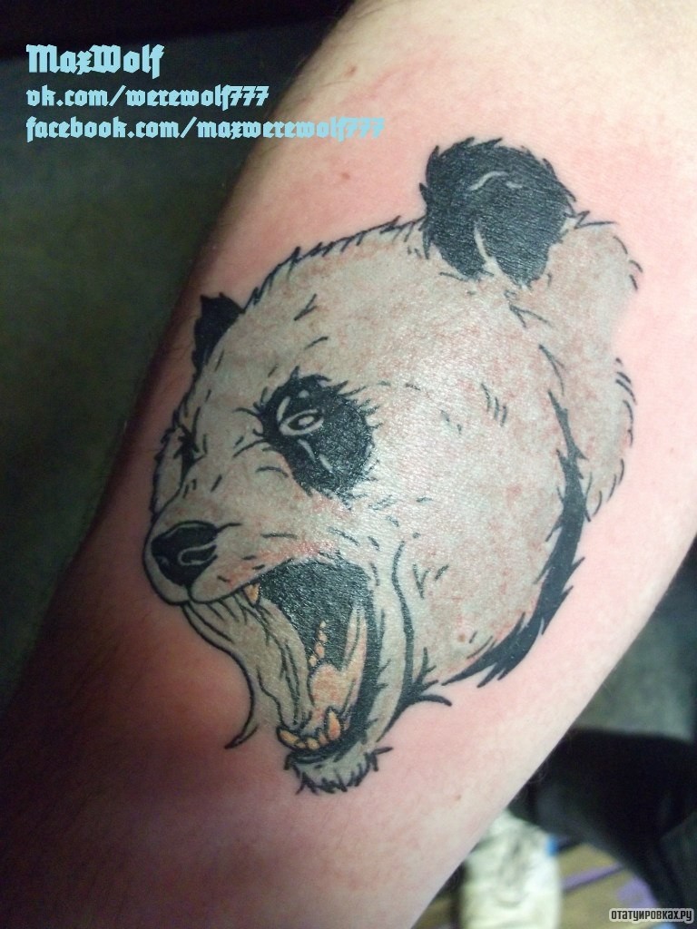 Фотография татуировки под названием «Оскал панды»