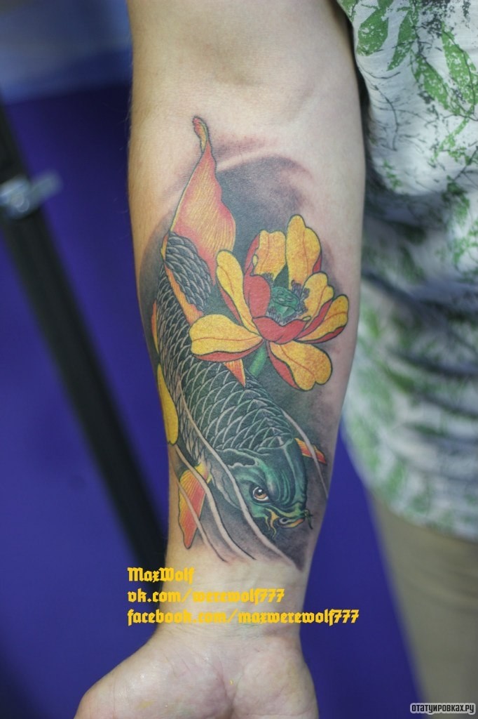 Фотография татуировки под названием «Карп с цветком»