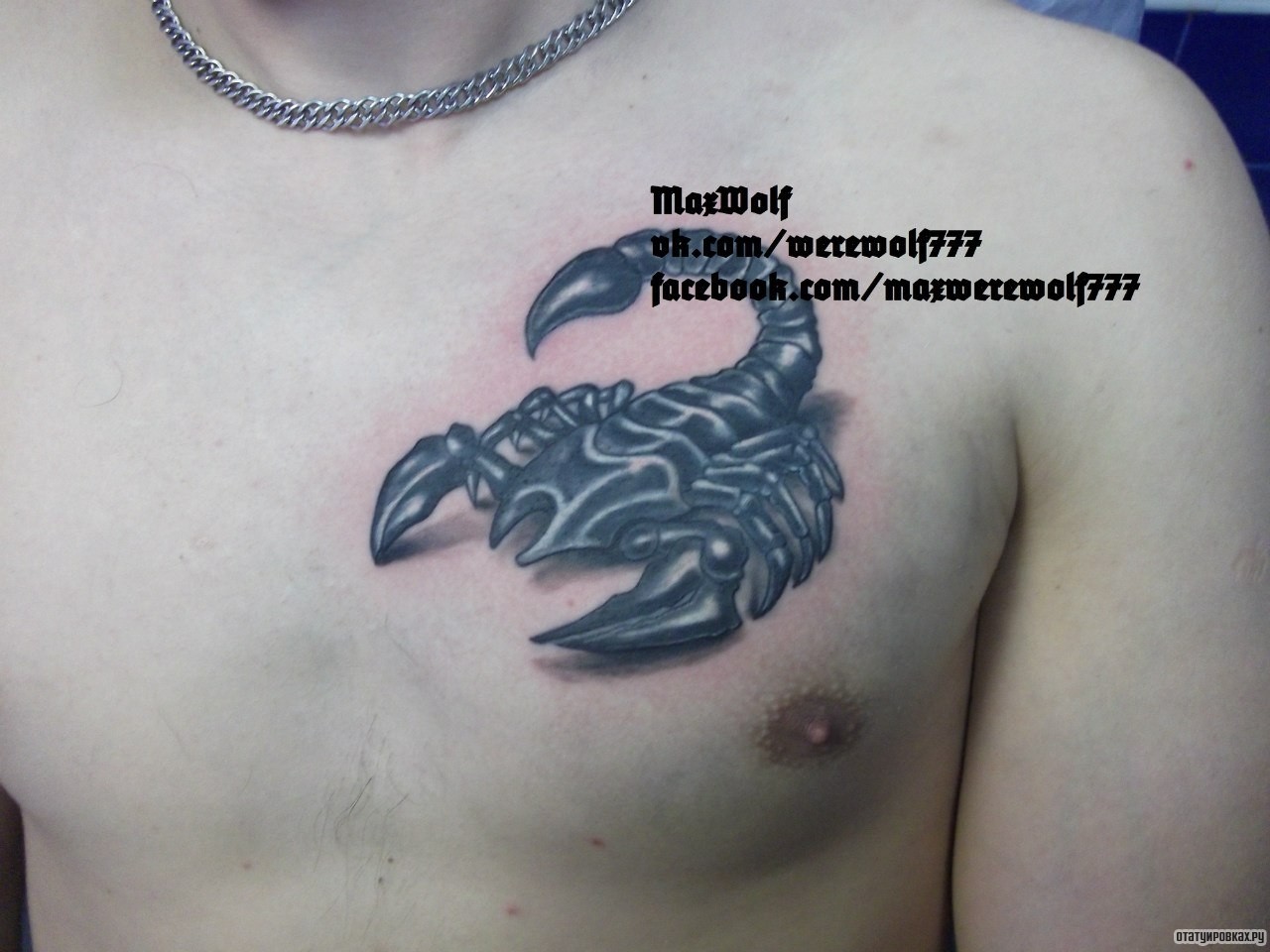 Фотография татуировки под названием «Чб скорпион»
