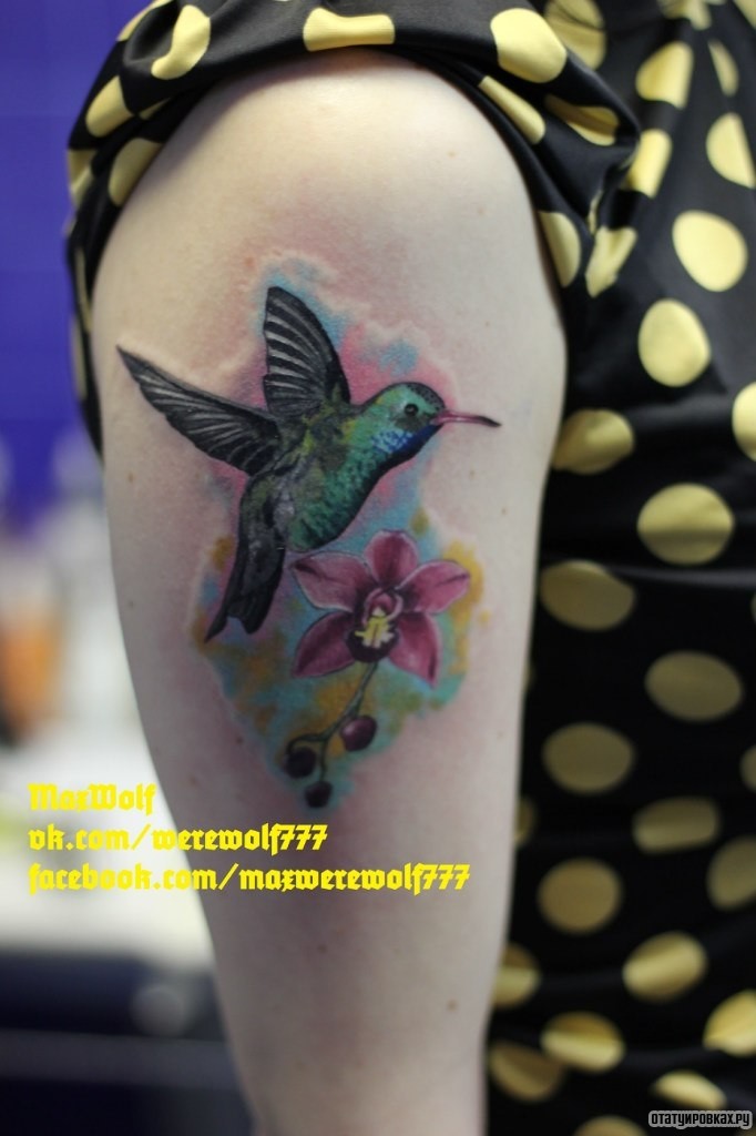 Фотография татуировки под названием «Колибри и цветок»