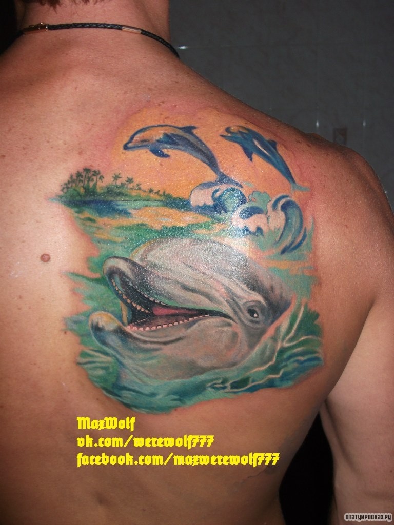 Фотография татуировки под названием «Дельфины в воде»