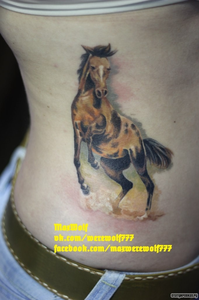 Фотография татуировки под названием «Лошадь, конь»