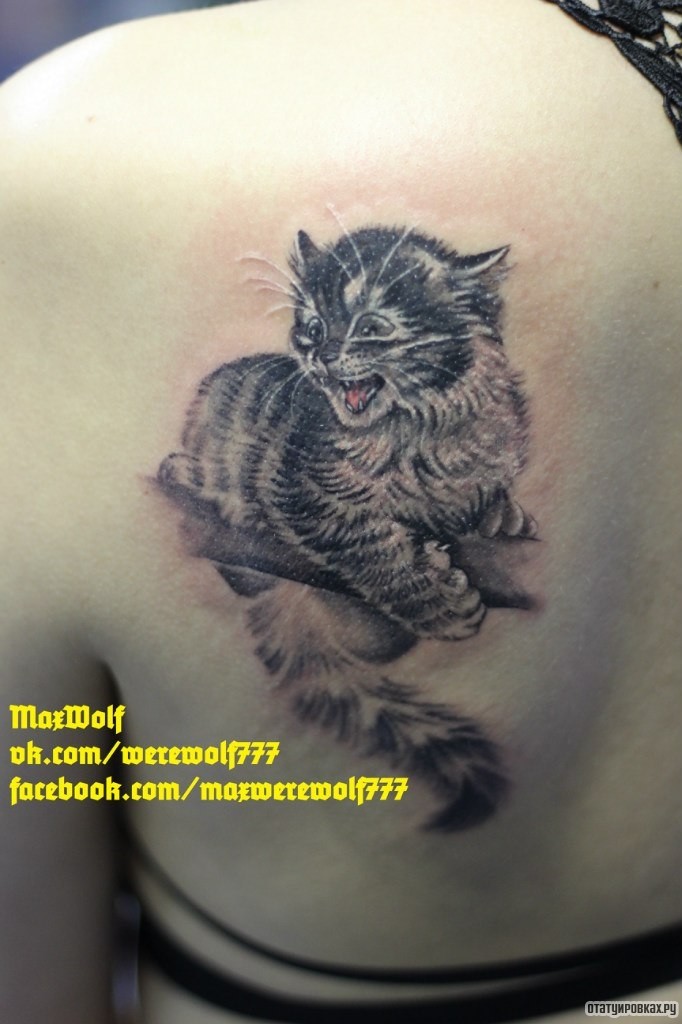 Фотография татуировки под названием «Котенок»