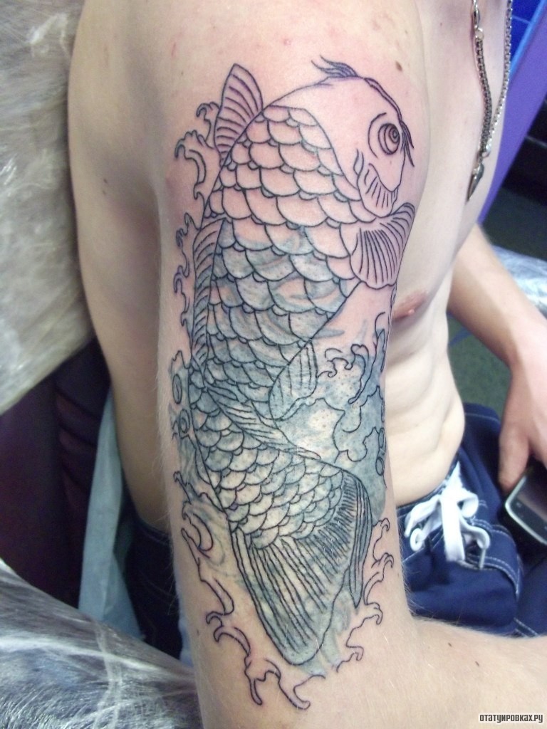 Фотография татуировки под названием «Карп наброски»